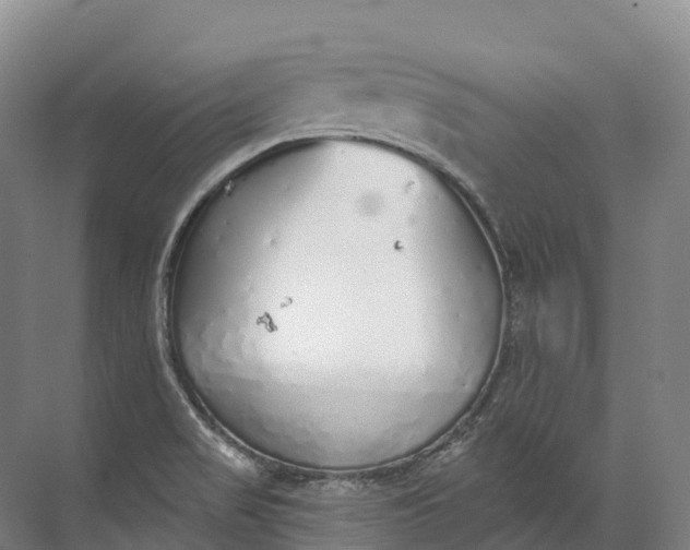 X0000072511517200607290119