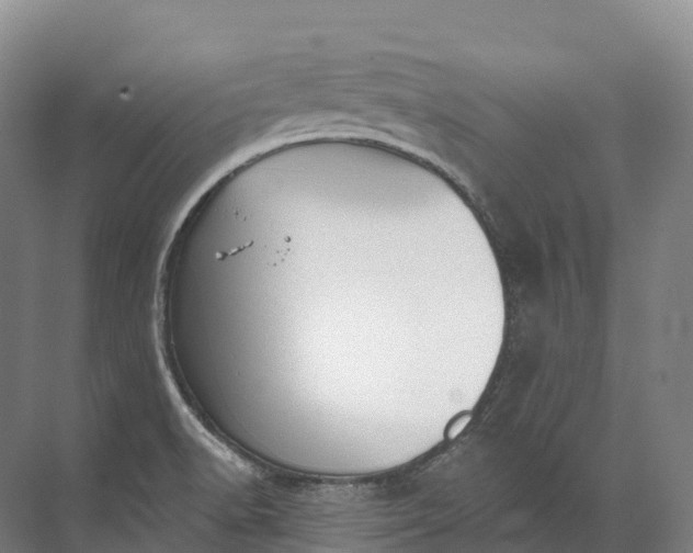 X0000072511518200607290119