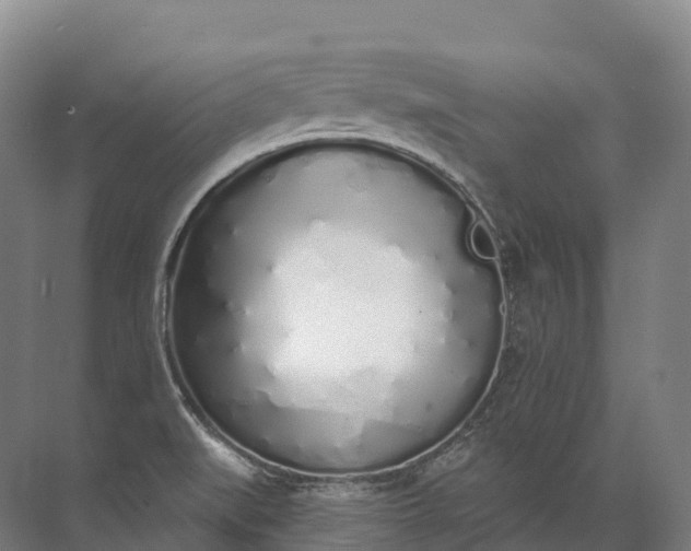 X0000072511519200607290119