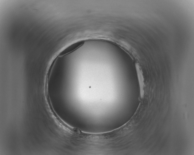 X0000072511520200607290119