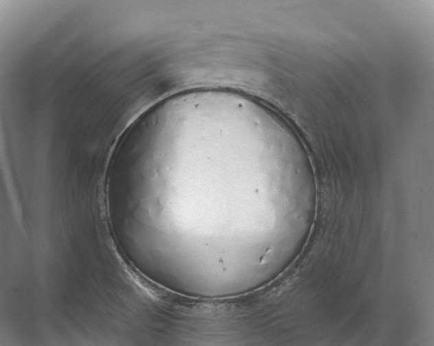 X0000072511521200607290119