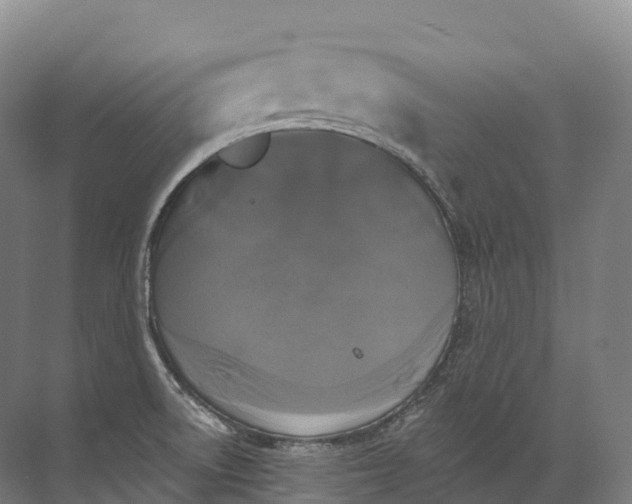 X0000072511522200607290119