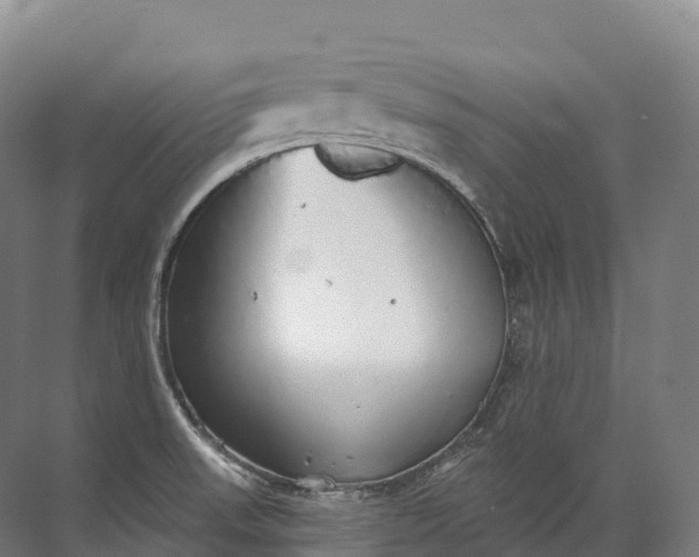 X0000072511523200607290119