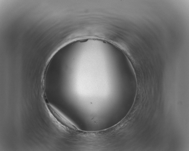 X0000072511524200607290119