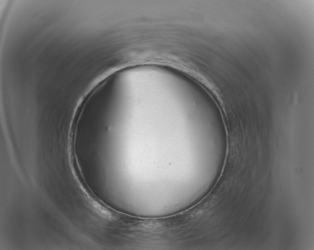 X0000072511525200607290119