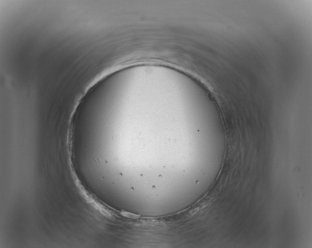 X0000072511526200607290119