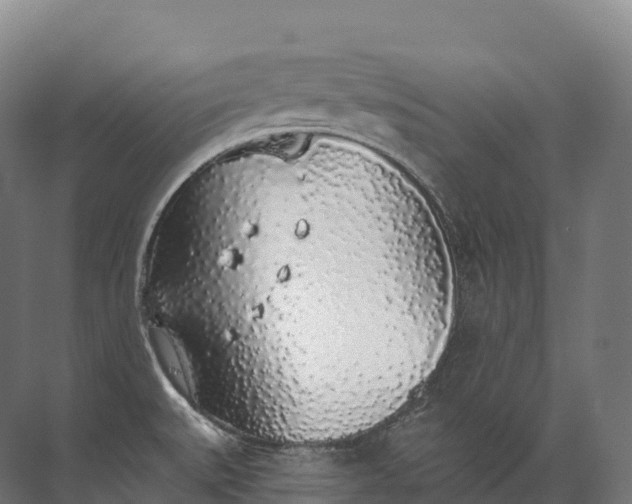 X0000072511527200607290119