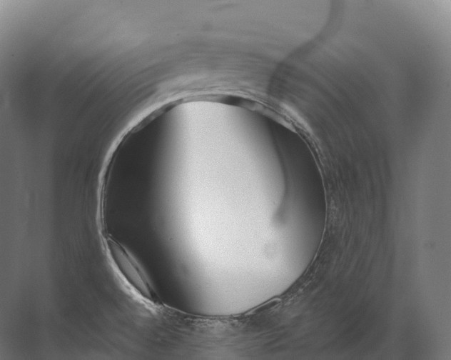 X0000072511528200607290119