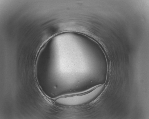 X0000072511529200607290119