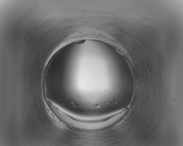 X0000072511530200607290119