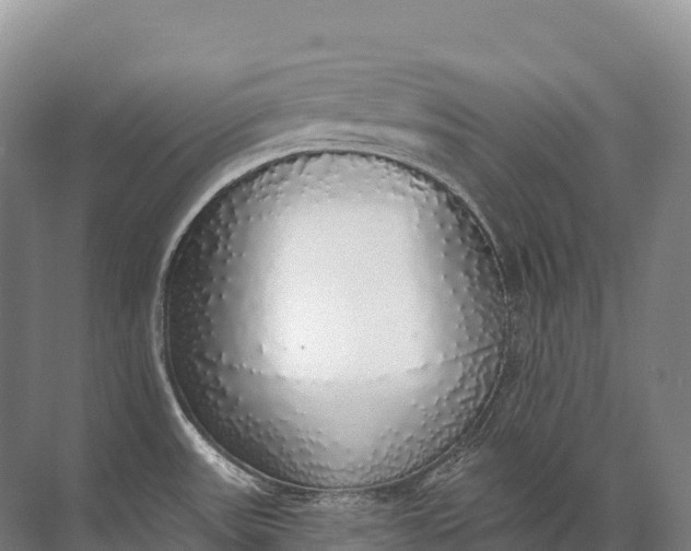 X0000072511531200607290119