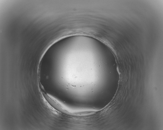 X0000072511532200607290119