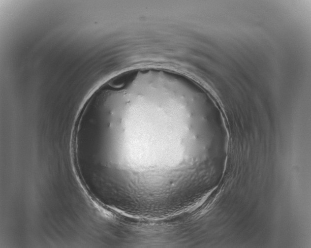 X0000072511533200607290119