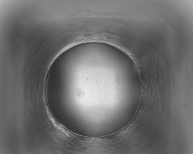 X0000072511534200607290119