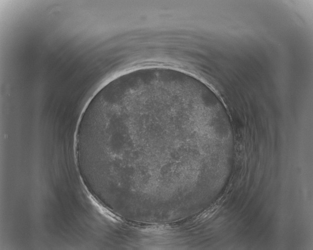 X0000072511535200607290119