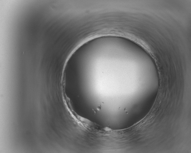 X0000072511536200607290119