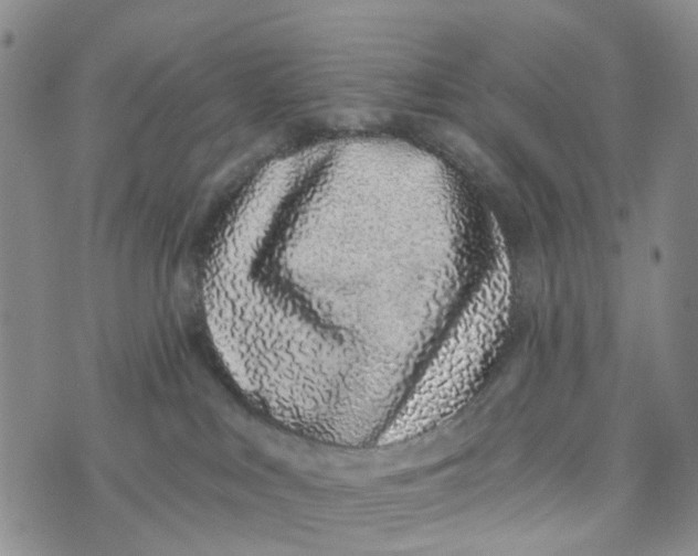 X0000072510043200608041517