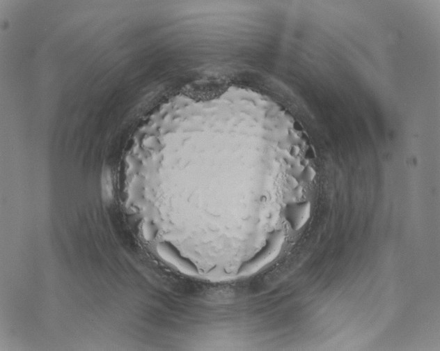 X0000072510075200608041517