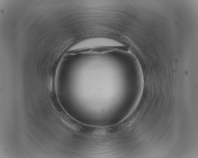X0000072510076200608041517