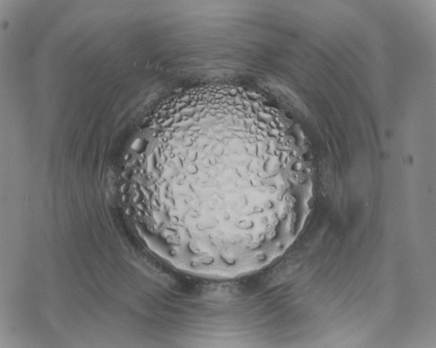 X0000072510077200608041517