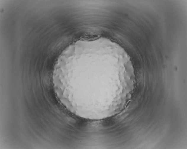 X0000072510078200608041517