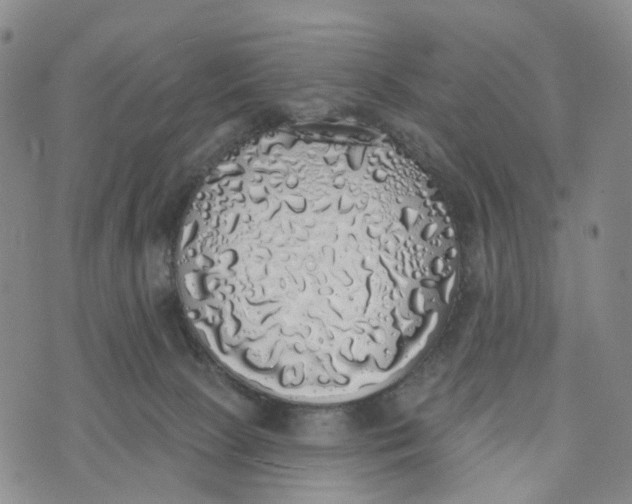 X0000072510081200608041517
