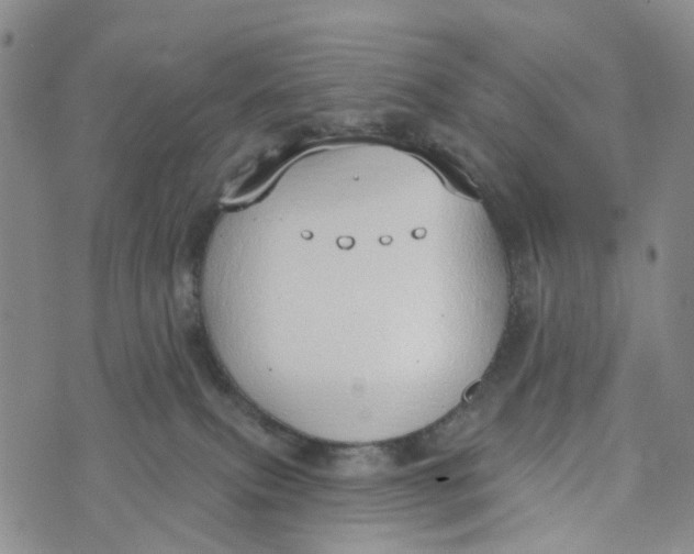 X0000072510087200608041517