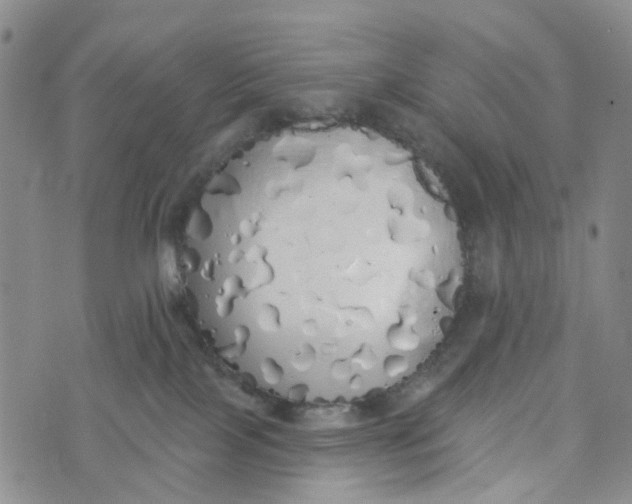 X0000072510089200608041517