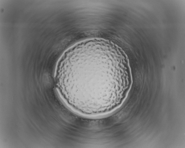 X0000072510130200608041516