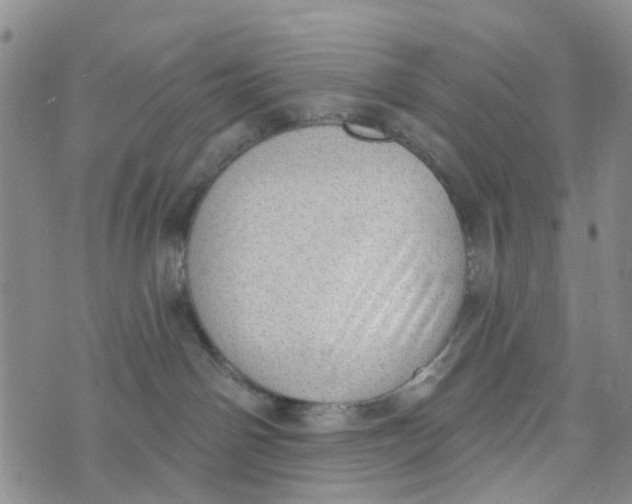 X0000072510142200608041516
