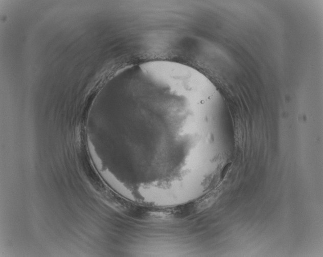 X0000072510167200608041515