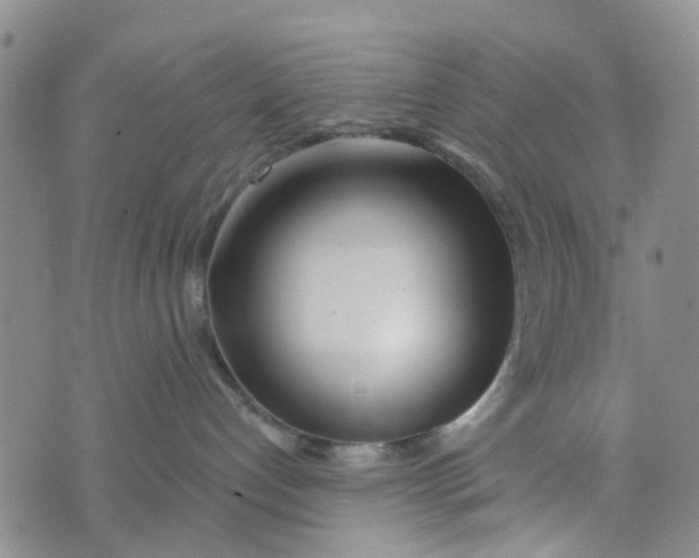 X0000072510192200608041516