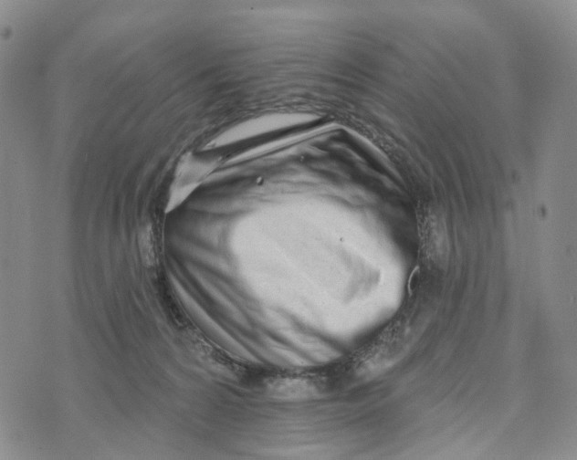 X0000072510224200608041514
