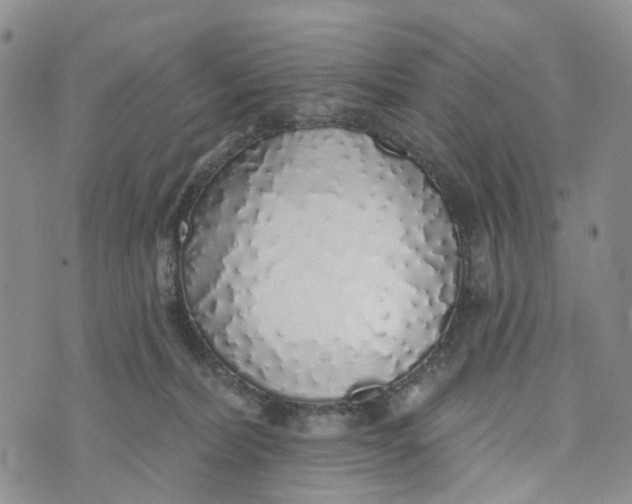 X0000072510228200608041514