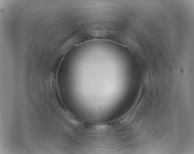 X0000072510233200608041514