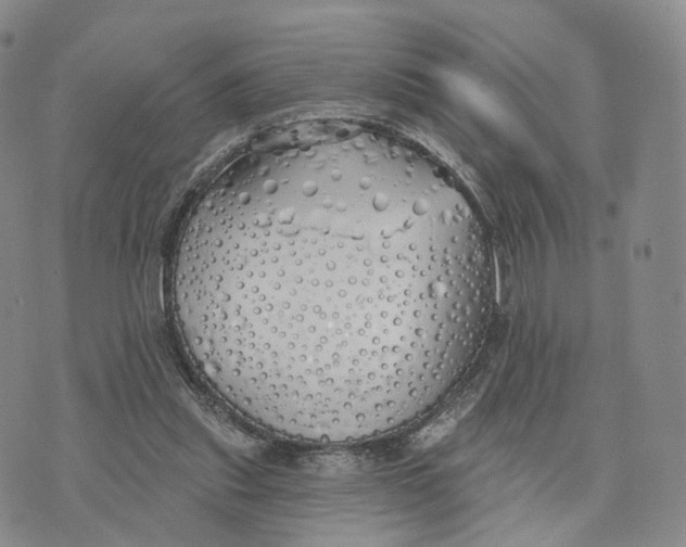 X0000072510253200608041514