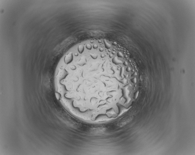 X0000072510266200608041514