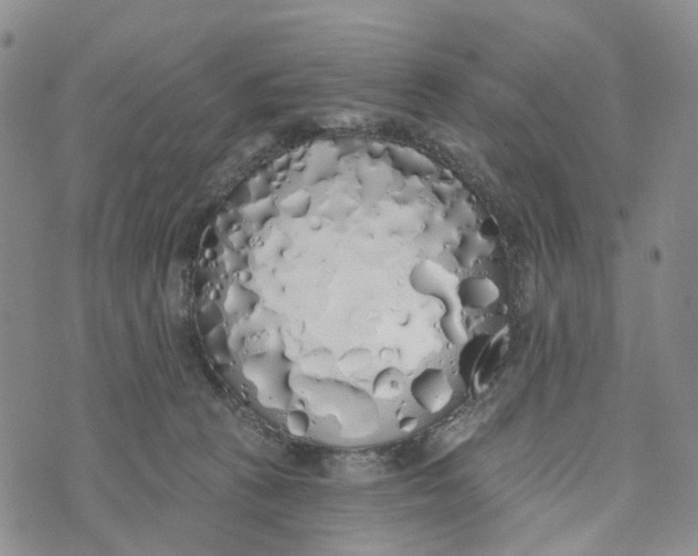 X0000072510273200608041514