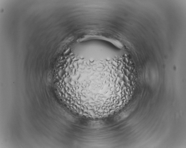 X0000072510277200608041514