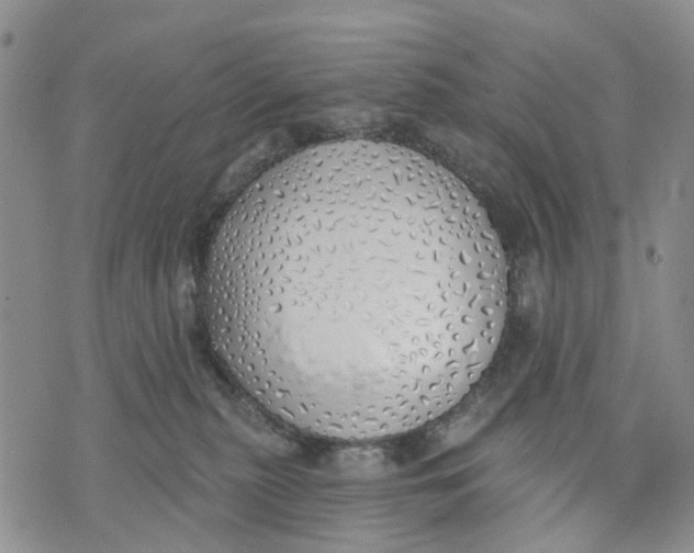 X0000072510279200608041514