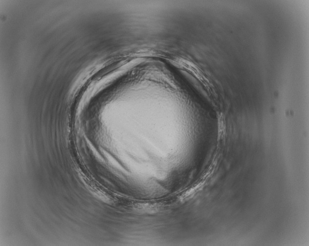 X0000072510293200608041513