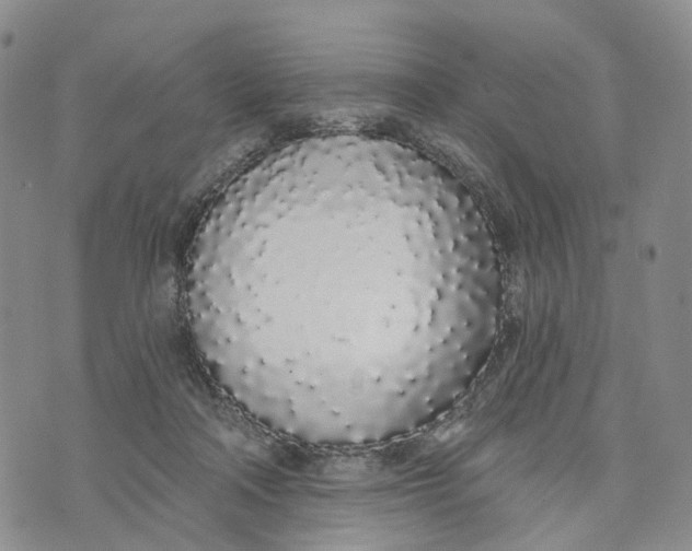 X0000072510314200608041513