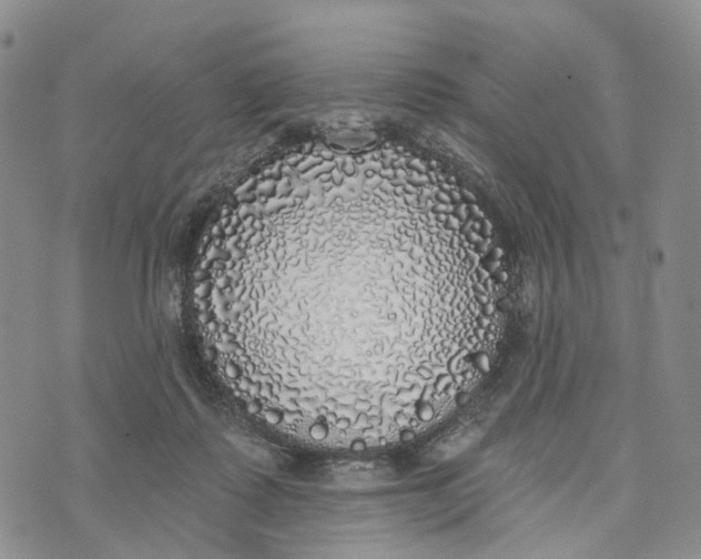 X0000072510315200608041513