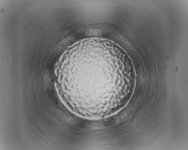 X0000072510322200608041513