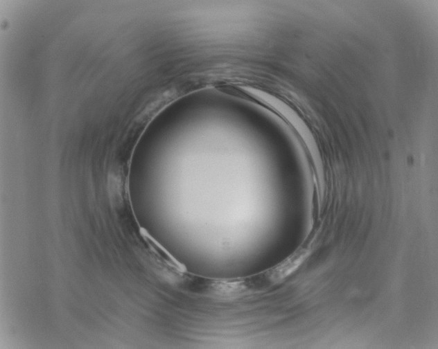 X0000072510333200608041513