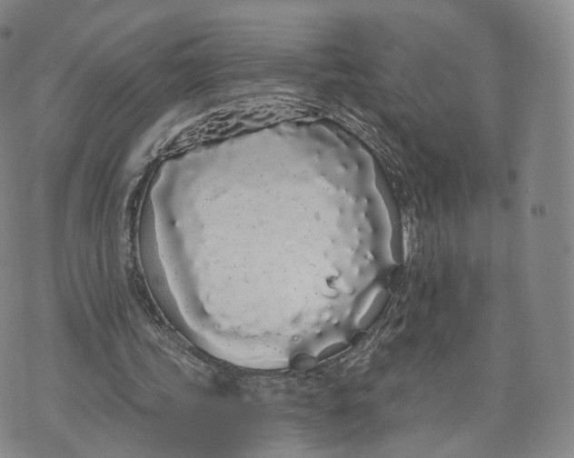 X0000072510339200608041512