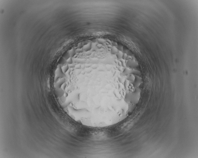 X0000072510358200608041512