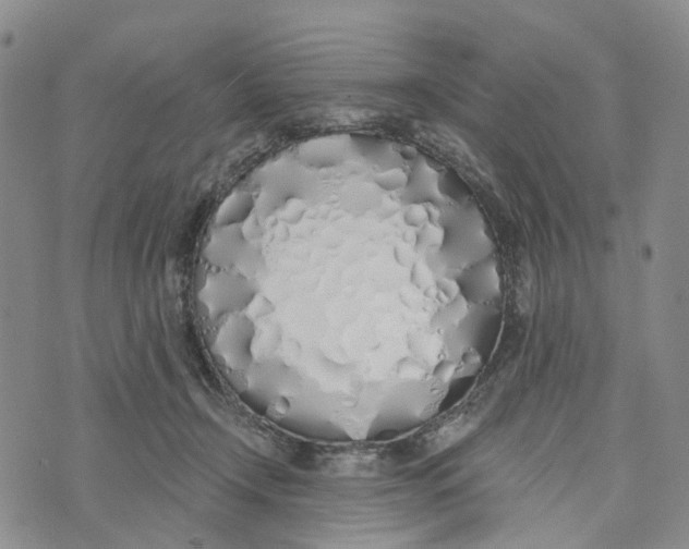 X0000072510366200608041512