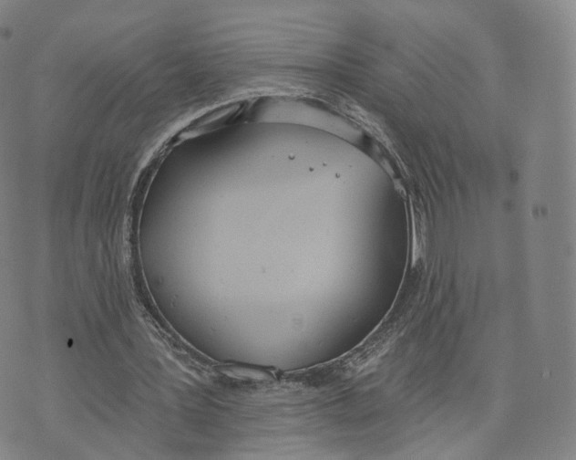 X0000072510387200608041512