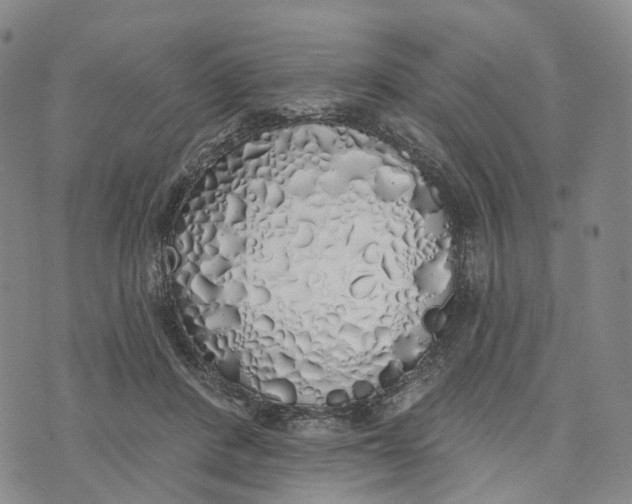 X0000072510408200608041511